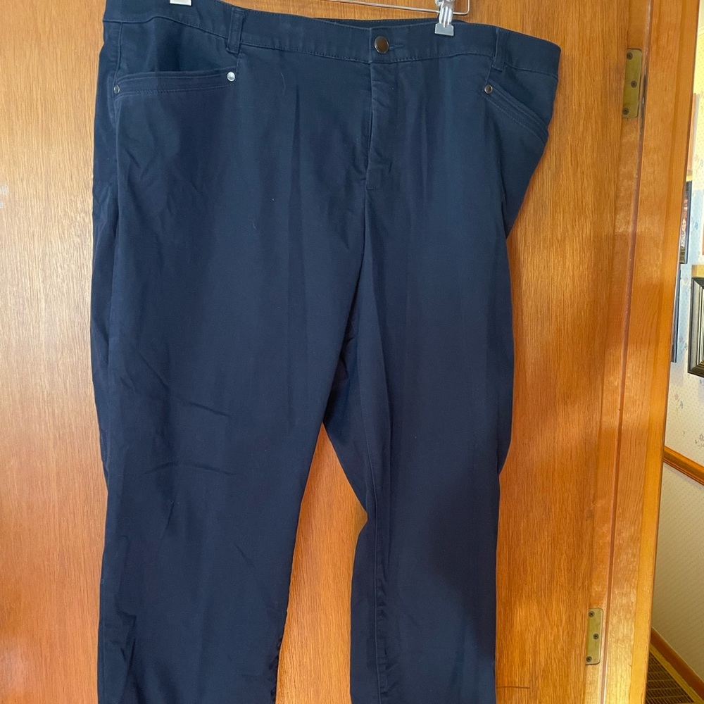 24W Petite CJ Banks Casual Pants
